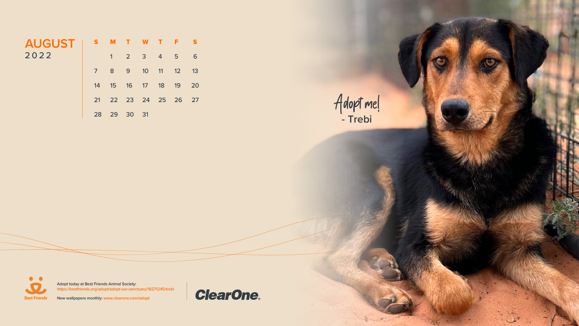 August 2022 Pet Adoption Calendar - Desktop 1600x900