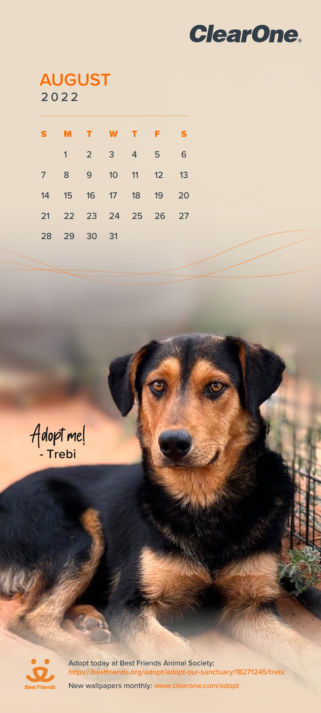 August 2022 Pet Adoption Calendar - Mobile 1080x2400