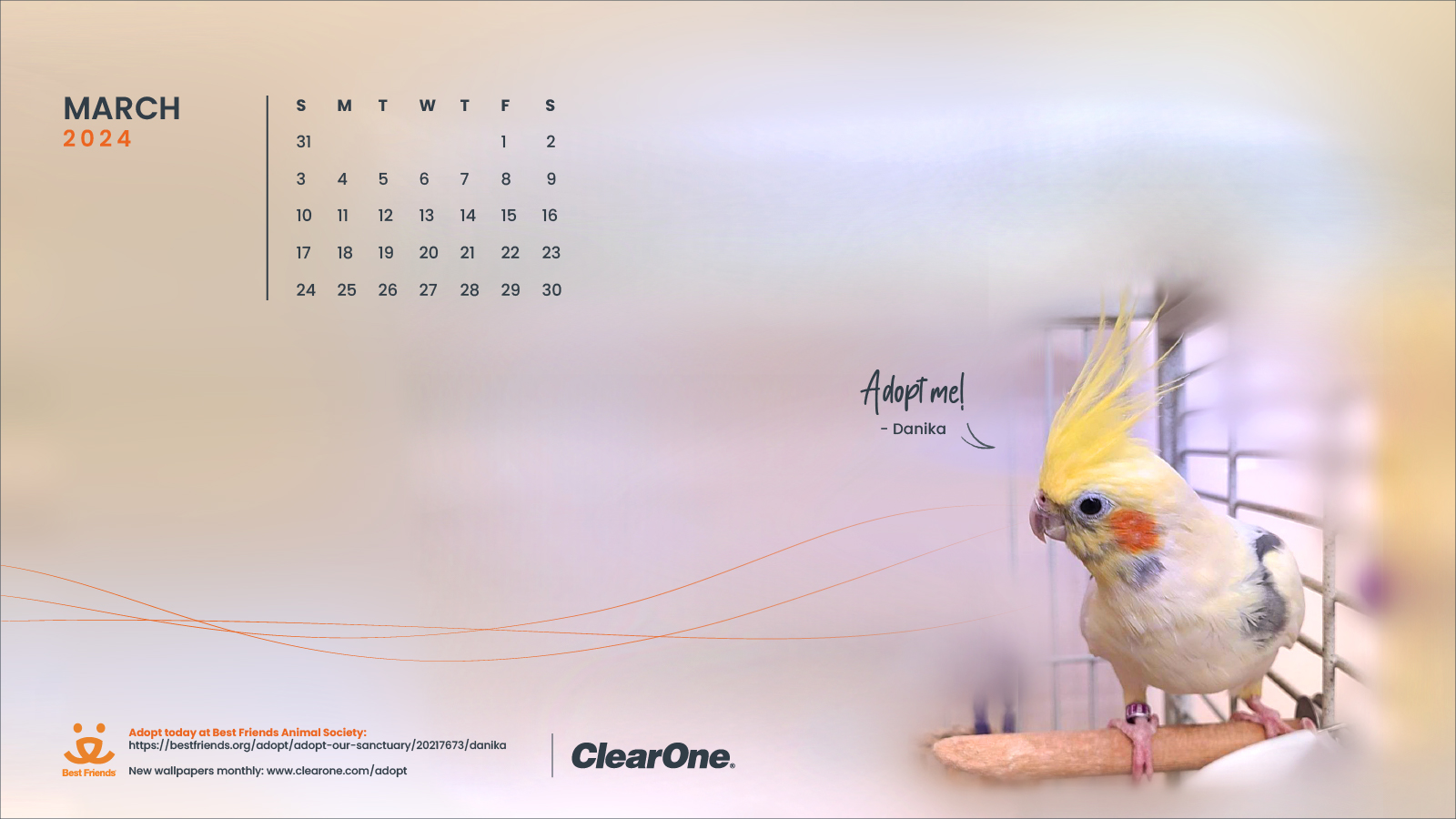 March 2024 Pet Adoption Calendar - Desktop 1600x900