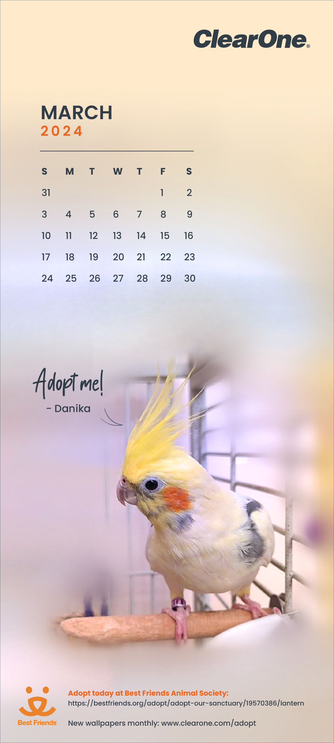 March 2024 Pet Adoption Calendar - Mobile 1080x2400