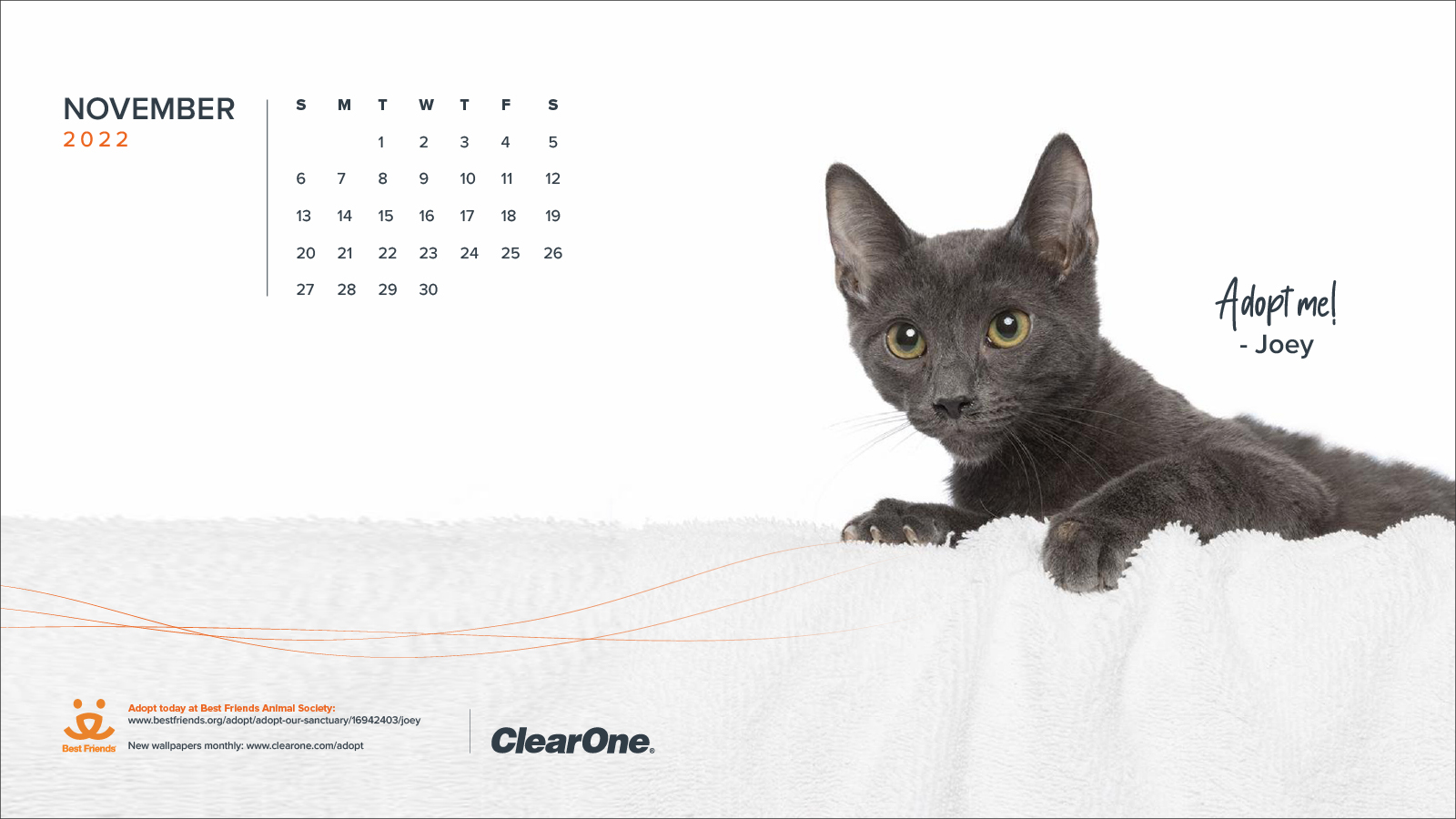 Nov 2022 Pet Adoption Calendar - Desktop 1600x900