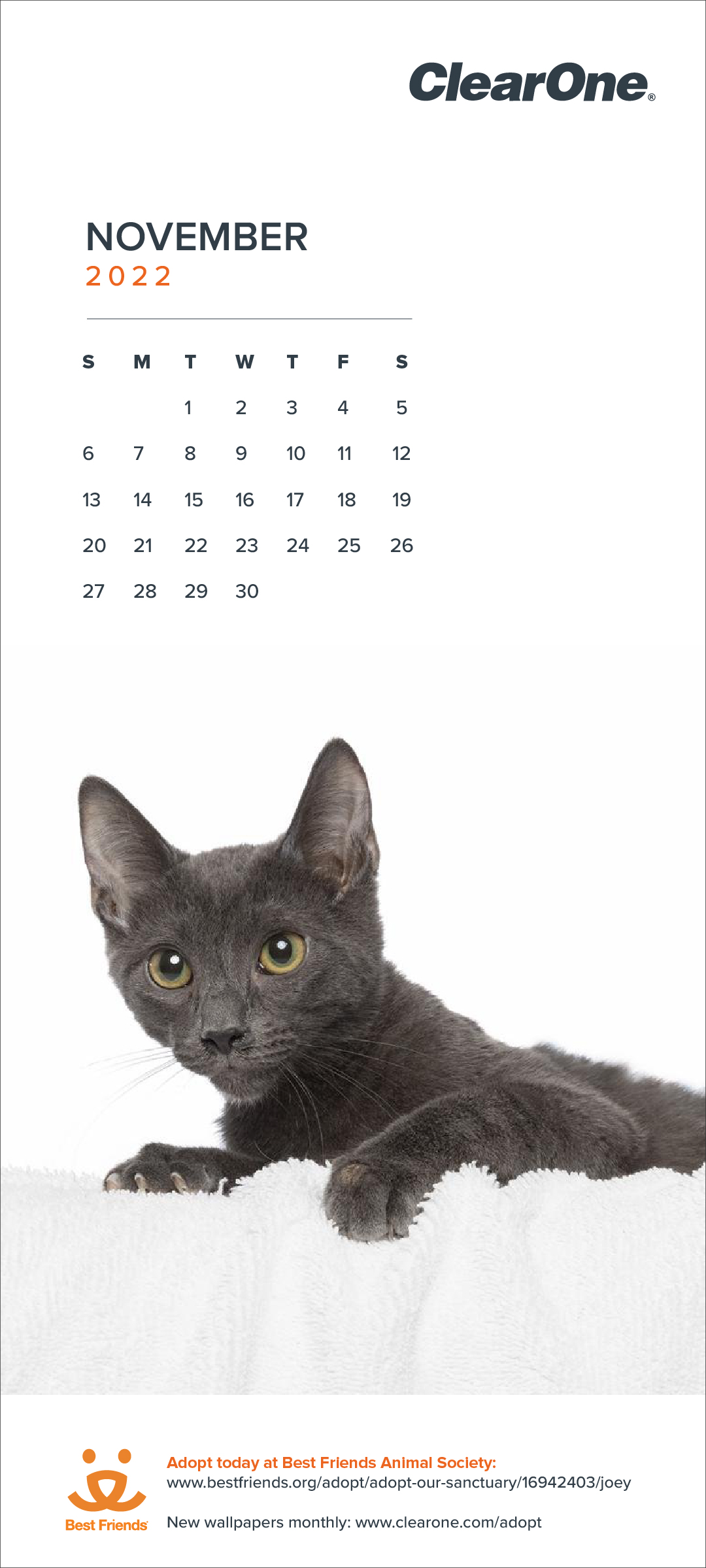 Nov 2022 Pet Adoption Calendar - Mobile 1080x2400