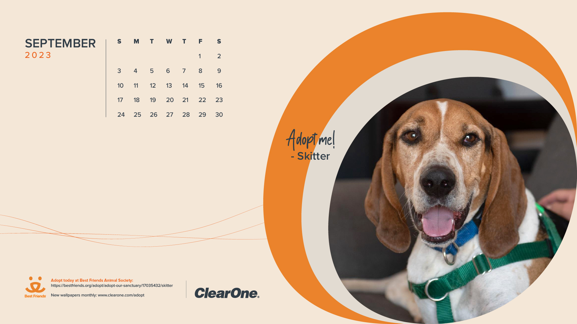September 2023 Pet Adoption Calendar - Desktop 1920x1080