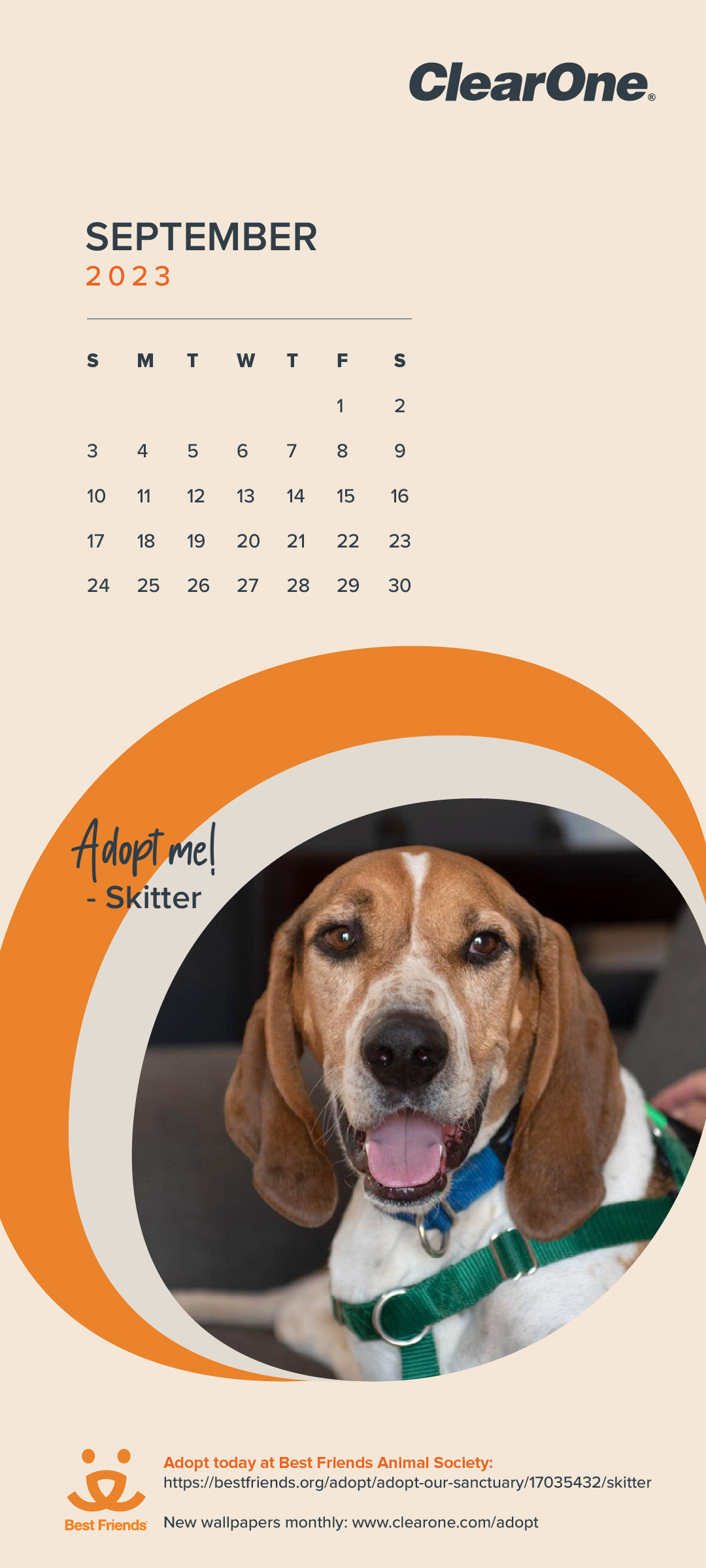 September 2023 Pet Adoption Calendar - Mobile 1080x2400